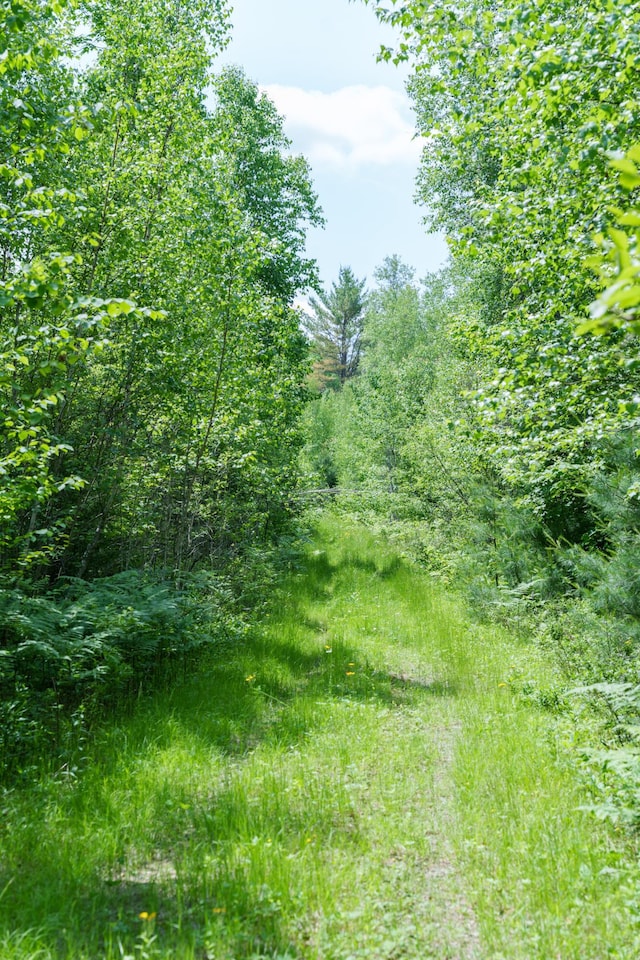 LOT26-37 Otter Trl, Greenbush, ME 04418