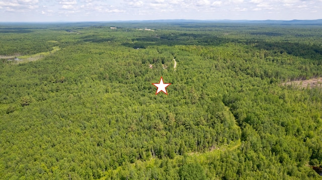 LOT26-37 Otter Trl, Greenbush, ME 04418