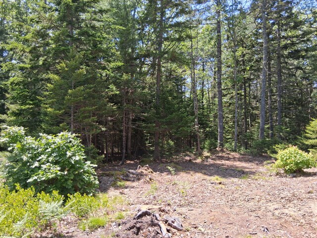 50 Bunchberry Ln, Bristol, ME 04554