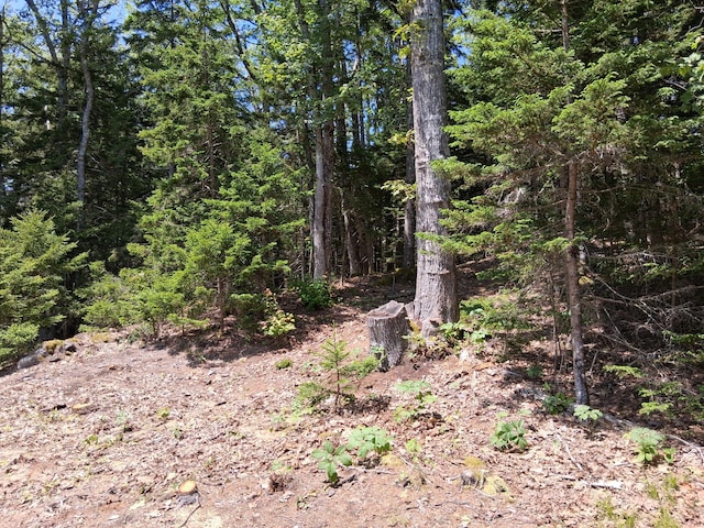 50 Bunchberry Ln, Bristol, ME 04554