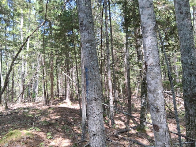 50 Bunchberry Ln, Bristol, ME 04554