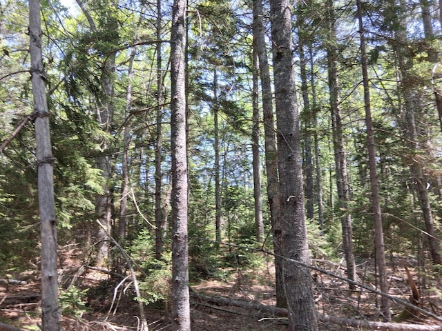50 Bunchberry Ln, Bristol, ME 04554