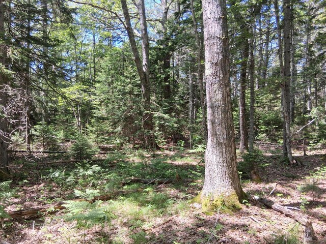 50 Bunchberry Ln, Bristol, ME 04554