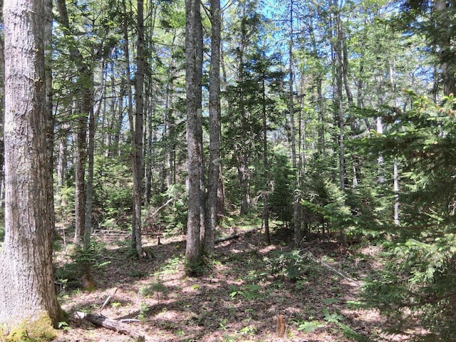 50 Bunchberry Ln, Bristol, ME 04554