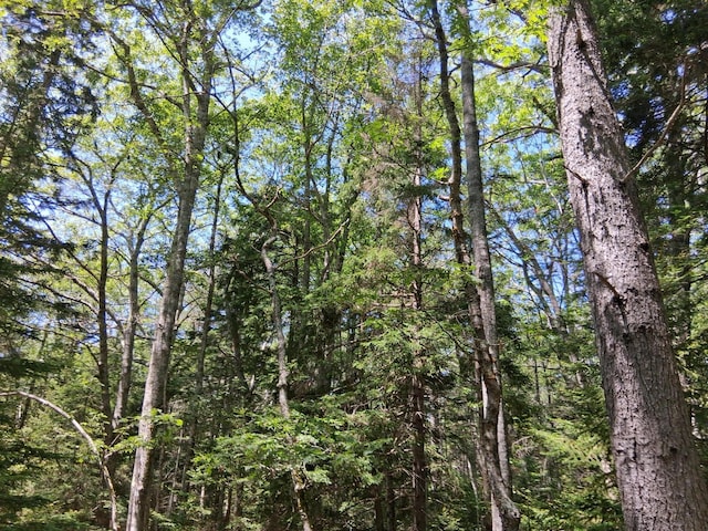 50 Bunchberry Ln, Bristol, ME 04554