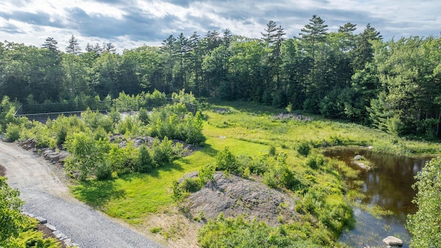 50 Bunchberry Ln, Bristol, ME 04554
