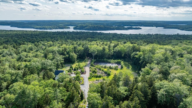 50 Bunchberry Ln, Bristol, ME 04554
