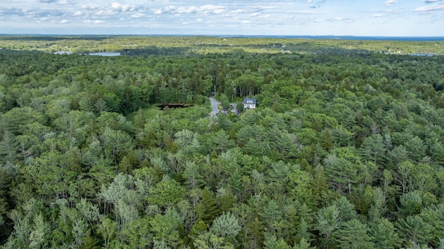 50 Bunchberry Ln, Bristol, ME 04554