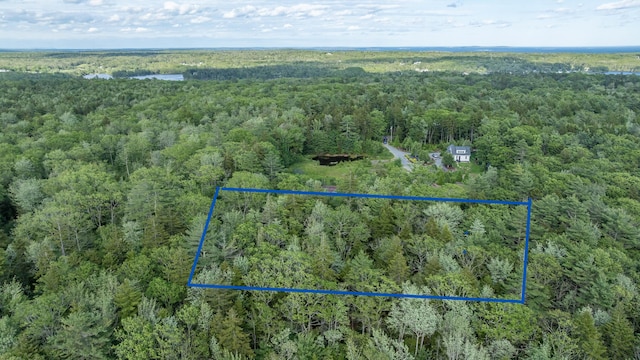 50 Bunchberry Ln, Bristol, ME 04554