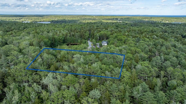 50 Bunchberry Ln, Bristol, ME 04554