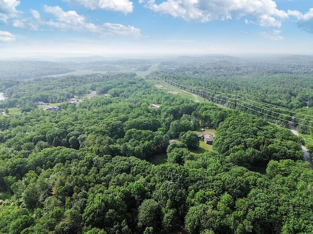 4 Acorn Ln, Lewiston, ME 04240 - bird's eye view of a heavily wooded area