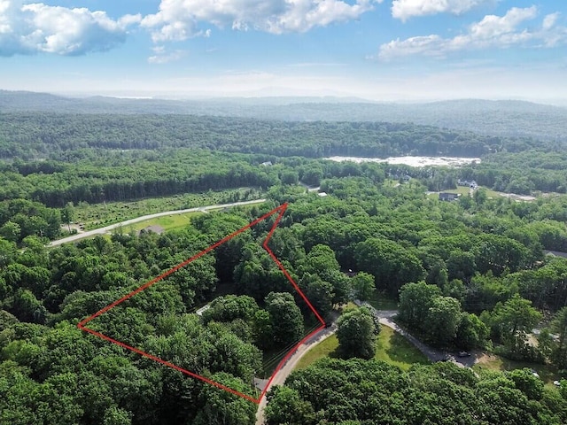 4 Acorn Ln, Lewiston, ME 04240 - aerial view of property and surrounding area with a forest and property boundaries highlighted