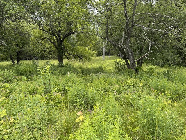1184 Peabody Rd, Appleton, ME 04862 - photo 19