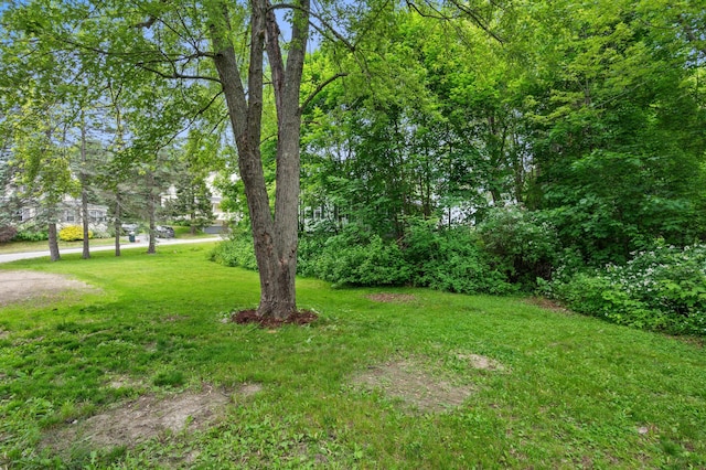 29 Foch St, Lewiston, ME 04240