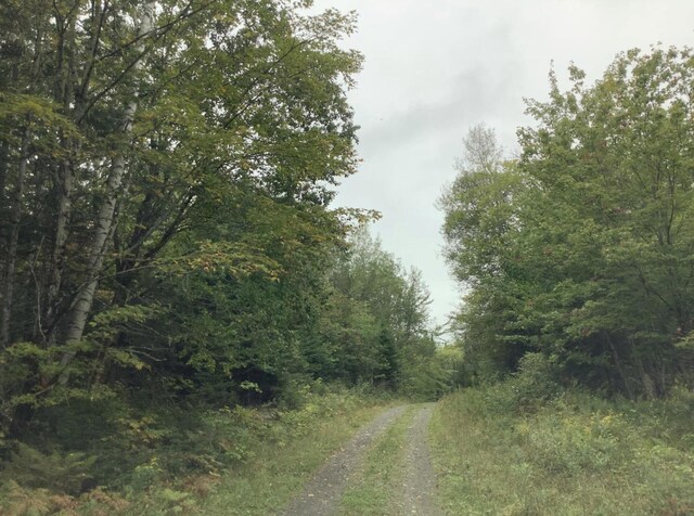 3 Abel Cyr Rd, Cyr Plt, ME 04785 - photo 9