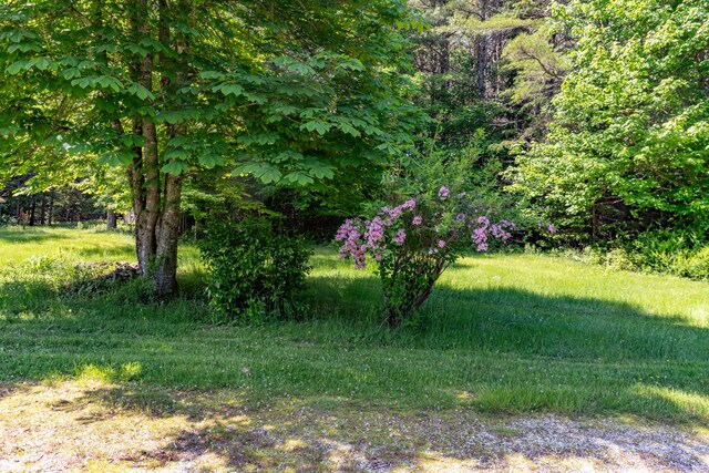 445 Back Ridge Rd, Orland, ME 04472 - photo 53