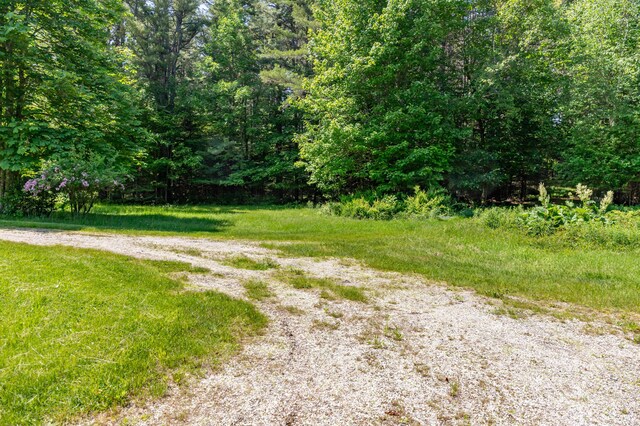 445 Back Ridge Rd, Orland, ME 04472 - photo 66
