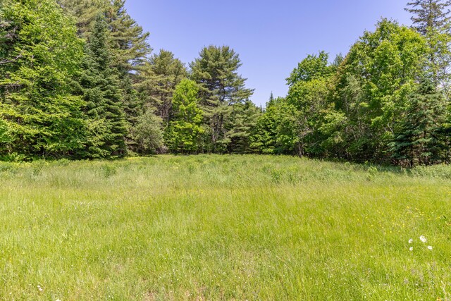 445 Back Ridge Rd, Orland, ME 04472 - photo 54