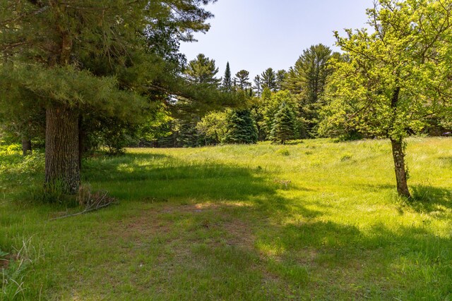 445 Back Ridge Rd, Orland, ME 04472 - photo 61