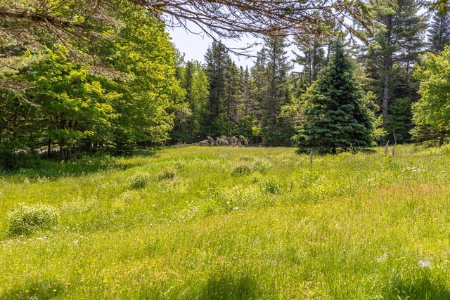 445 Back Ridge Rd, Orland, ME 04472 - photo 62