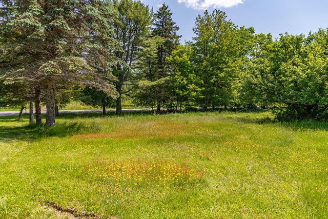 445 Back Ridge Rd, Orland, ME 04472 - photo 63