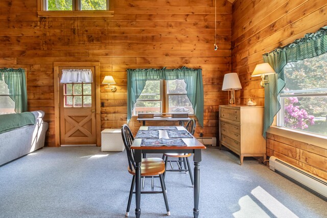 445 Back Ridge Rd, Orland, ME 04472 - photo 19