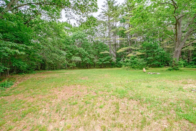 375 Gorham Rd, Scarborough, ME 04074 - view of grassy yard with a wooded view