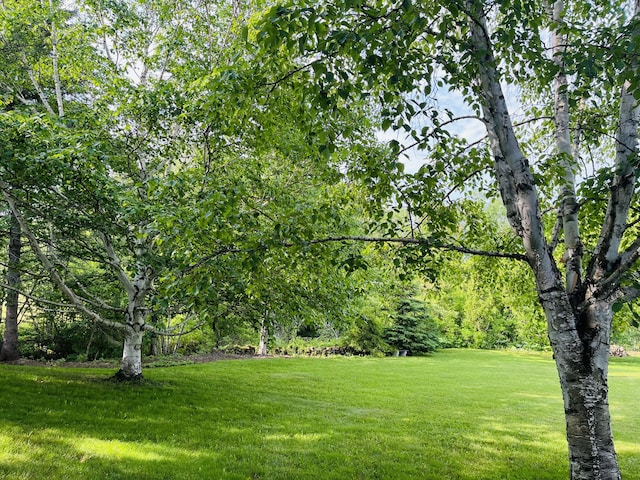 27 Reach Rd, Presque Isle, ME 04769 - photo 75