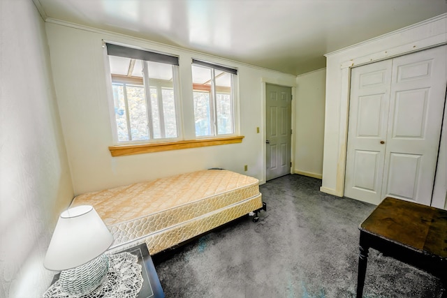 31 Herrick Rd, Belfast, ME 04915 - bedroom with carpet floors, crown molding, and a closet