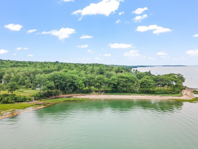9 Broad Reach Rd, Chebeague Island, ME 04017 - photo 65