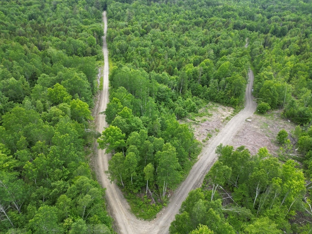 LOT8 Moores Rd, Springfield, ME 04487