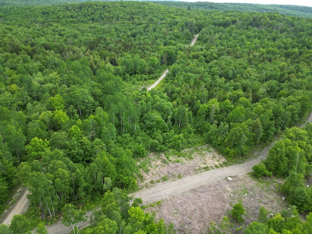 LOT8 Moores Rd, Springfield, ME 04487