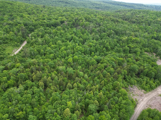 LOT8 Moores Rd, Springfield, ME 04487