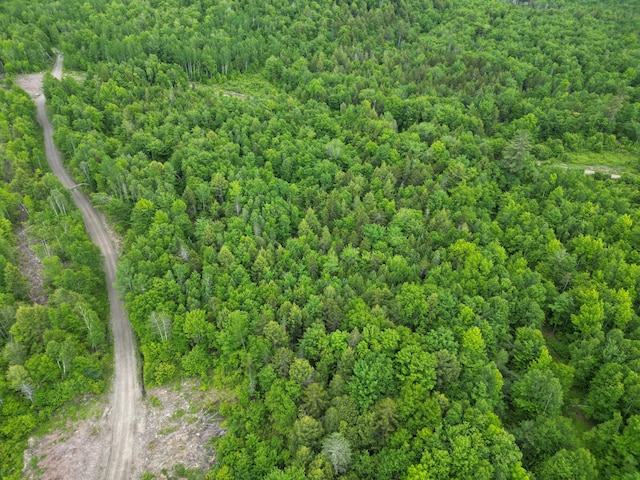 LOT8 Moores Rd, Springfield, ME 04487
