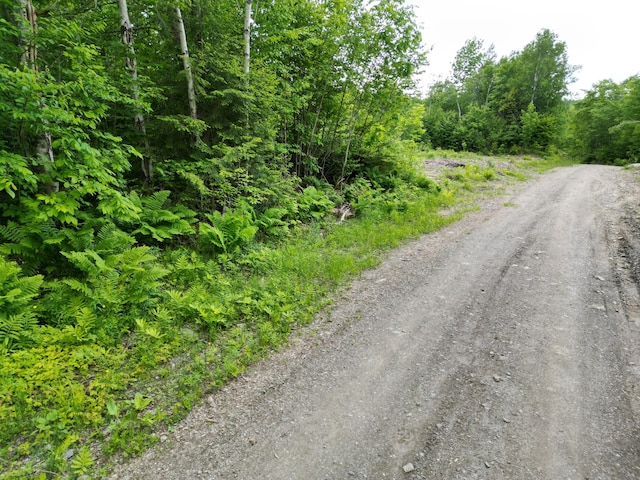 LOT8 Moores Rd, Springfield, ME 04487
