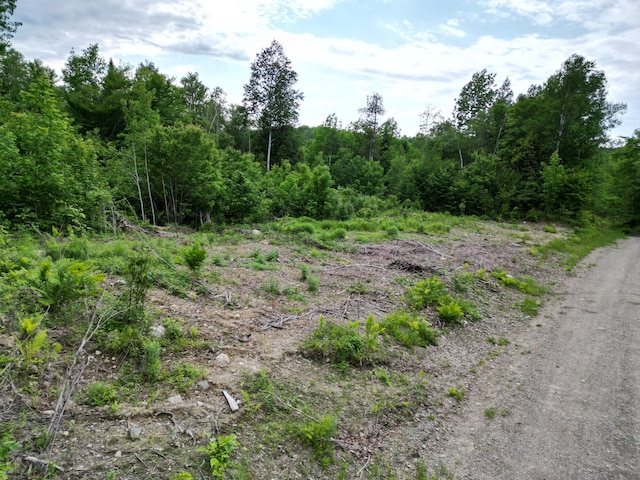 LOT8 Moores Rd, Springfield, ME 04487