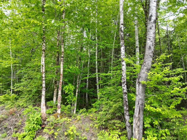 LOT8 Moores Rd, Springfield, ME 04487