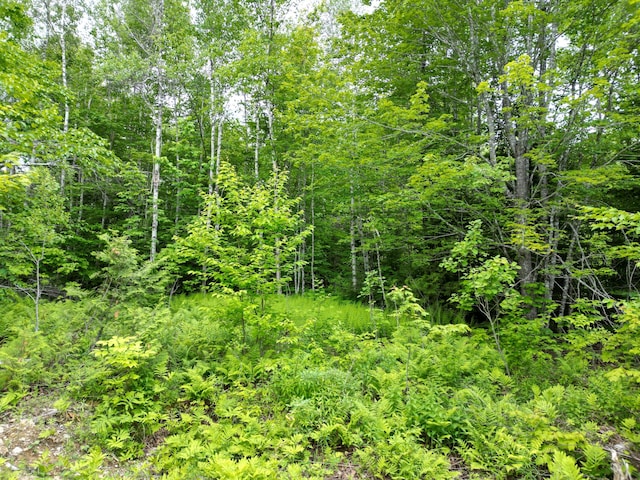 LOT8 Moores Rd, Springfield, ME 04487