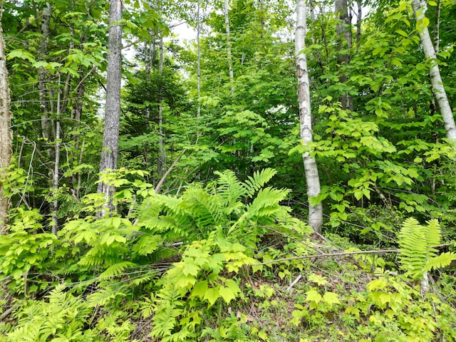 LOT8 Moores Rd, Springfield, ME 04487