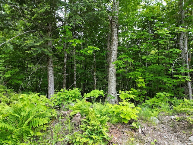 LOT8 Moores Rd, Springfield, ME 04487