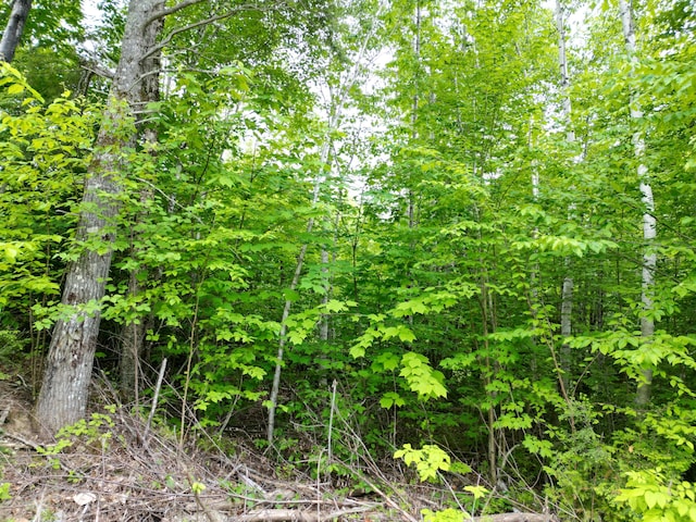 LOT8 Moores Rd, Springfield, ME 04487