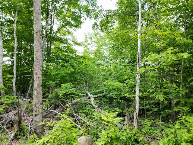 LOT8 Moores Rd, Springfield, ME 04487