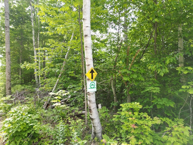 LOT8 Moores Rd, Springfield, ME 04487