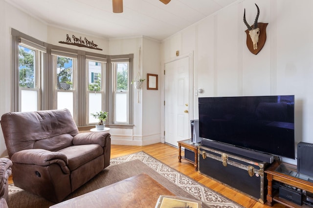 37 Cook St, Auburn, ME 04210 - living room with ornamental molding, light wood-type flooring, and ceiling fan
