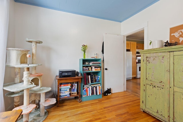 37 Cook St, Auburn, ME 04210 - sitting room featuring wood finished floors and crown molding