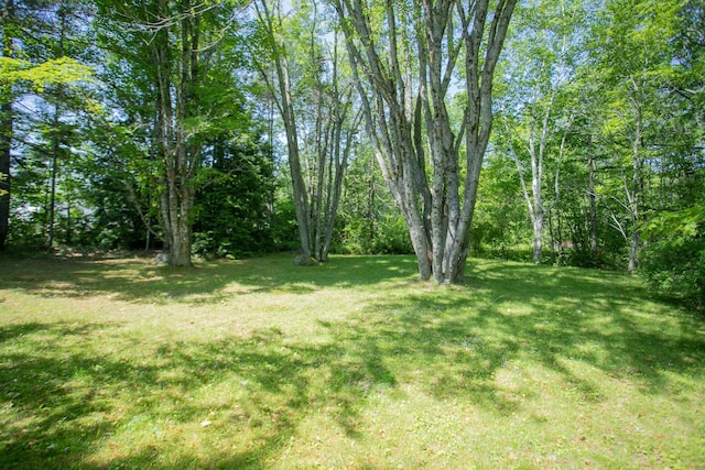142 Military Rd, Greenbush, ME 04418 - view of green lawn
