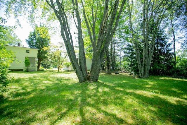 142 Military Rd, Greenbush, ME 04418 - view of grassy yard