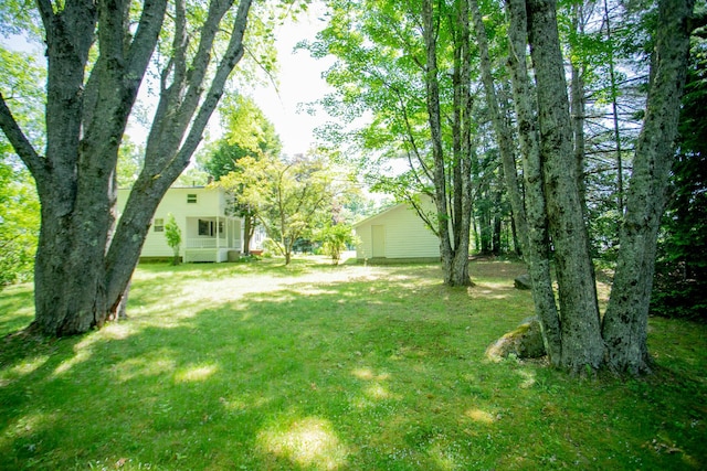 142 Military Rd, Greenbush, ME 04418 - view of green lawn