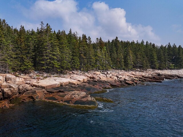 310 Red Point Rd, Swans Island, ME 04685 - photo 71