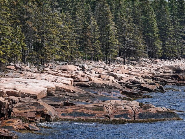 310 Red Point Rd, Swans Island, ME 04685 - photo 6